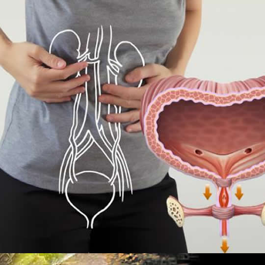 incontinencia urinaria